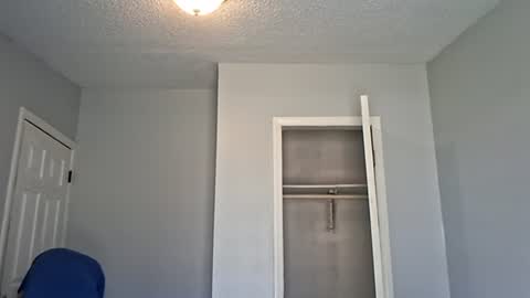 007_springer online show from March 24, 6:57 pm