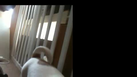 10mm_socket online show from February 11, 6:07 am