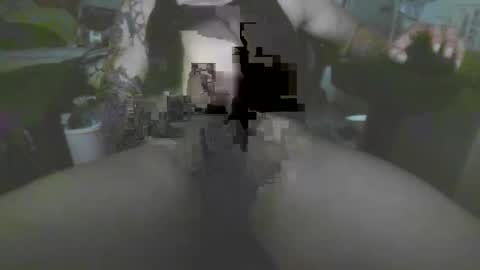 1337assman1337 online show from February 5, 2:00 pm