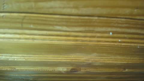 Carl the good girl online show from February 21, 11:44 am