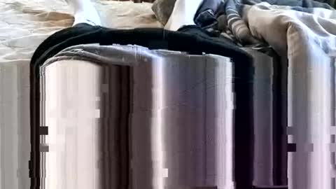 Snapshot of 1injecttoys_ chatting on March 7, 5:37 am 1injecttoys_ online show from March 7, 5:37 am