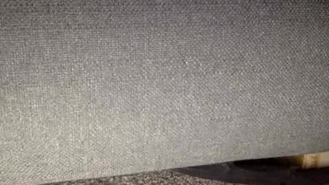 30nick online show from March 7, 9:06 am