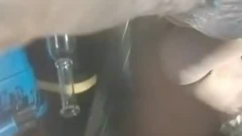336cumdumpster online show from August 8, 8:49 am
