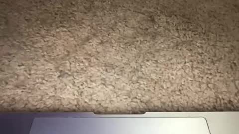 3dging_sub online show from March 13, 3:24 am