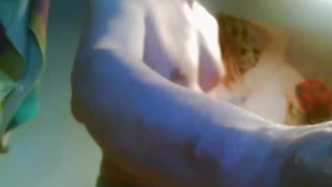 41bigdick41 online show from April 8, 3:45 pm