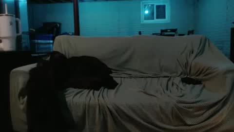 420bunnie online show from February 26, 7:20 am