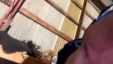 Snapshot of 420danny chatting on February 24, 3:44 am 420danny online show from February 24, 3:44 am