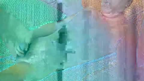 Daddy online show from October 19, 4:51 pm