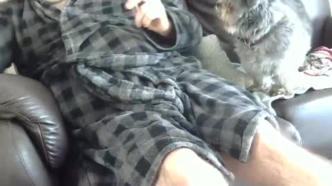 Snapshot of 66bear chatting on December 25, 4:43 pm 66bear online show from December 25, 4:43 pm