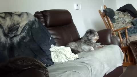 66bear online show from December 21, 2:02 pm