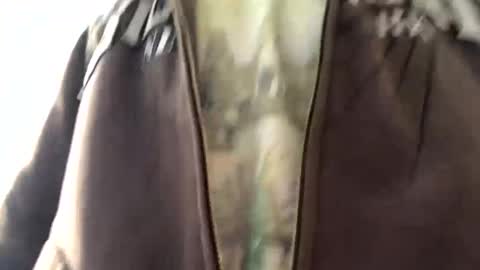 6990fiko online show from January 13, 10:36 am