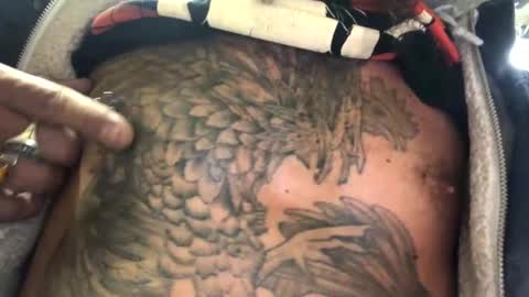 6990fiko online show from March 2, 10:56 am