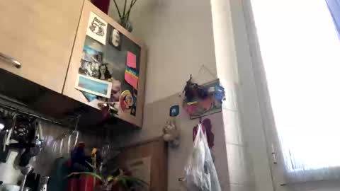 6990fiko online show from March 4, 12:55 pm