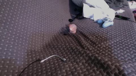 Snapshot of 69ass_tastic chatting on March 2, 4:53 pm Chris online show from March 2, 4:53 pm