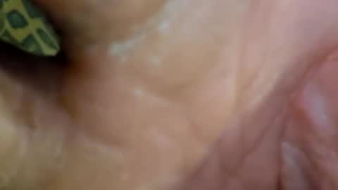 Snapshot of 69dick_fitzwell69 chatting on December 7, 9:00 pm HUGH G RECTION online show from December 7, 9:00 pm