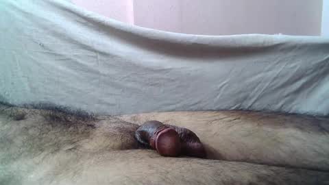 Massive hungry cock online show from May 15, 10:50 pm