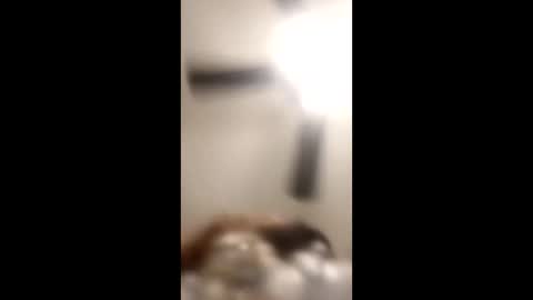 KittyPoo107 online show from June 11, 2:33 am