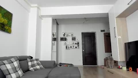 Ariana online show from February 20, 7:45 am