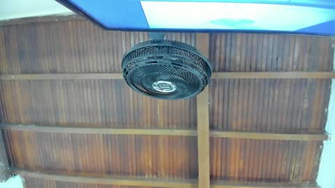 Candy online show from November 21, 6:06 pm