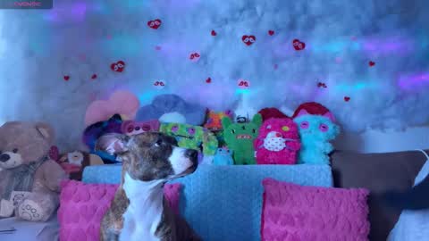 Kate online show from March 7, 9:06 am