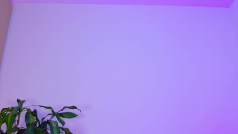 Snapshot of _emilymoon_x chatting on February 3, 2:53 am Emi online show from February 3, 2:53 am