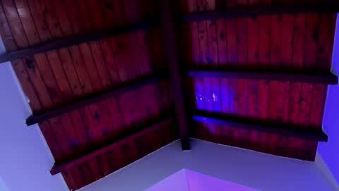 Hanna Botero online show from March 21, 7:17 pm