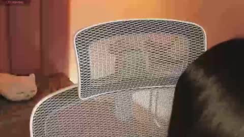 _kata online show from December 20, 11:28 am