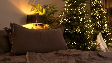 FANSLY ---   anal in private 700 tokens online show from December 1, 6:18 am