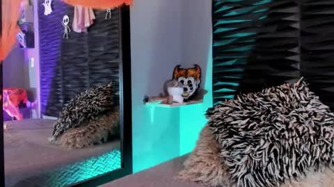 Snapshot of _lustyles_ chatting on October 31, 4:02 am _lustyles_ online show from October 31, 4:02 am