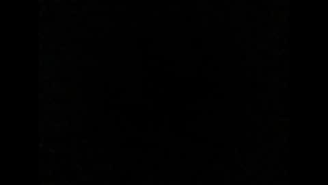 Max online show from November 13, 9:30 am