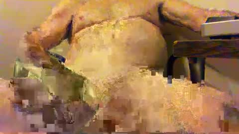  pervin  online show from February 5, 2:51 am