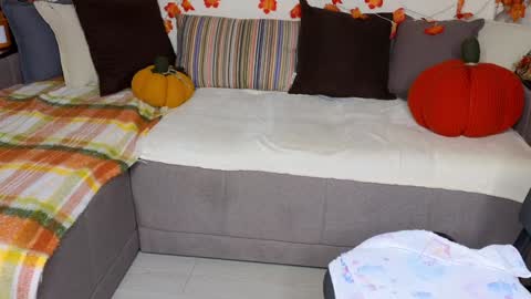 Alice online show from December 9, 10:22 am