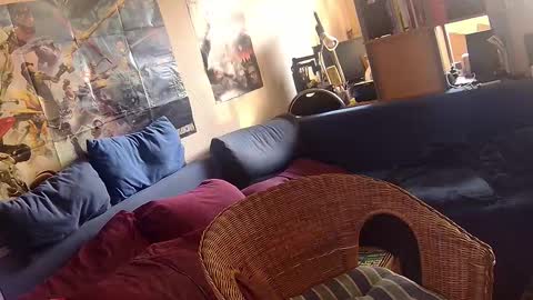 Sven online show from November 12, 1:22 pm