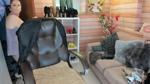 Sol online show from March 31, 10:59 am