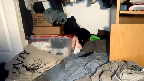 Matt snap - mattdillon1995 online show from September 18, 5:42 am