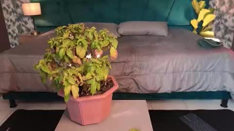 Snapshot of aaron_eze chatting on January 31, 8:51 pm Aaron Ezequiel online show from January 31, 8:51 pm