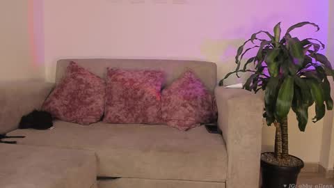 Snapshot of abbey_allen chatting on February 16, 2:53 am Abbey  IG abby allenn  04 December Online at  I will be on vacation dont forget me  See you soon   online show from February 16, 2:53 am