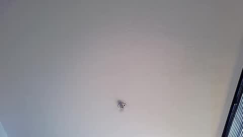 Snapshot of abbi_moon chatting on January 12, 1:48 pm Martina online show from January 12, 1:48 pm