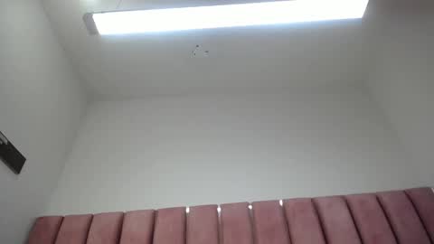 Snapshot of abby_ros_ chatting on January 29, 6:22 am abby_ros_ online show from January 29, 6:22 am