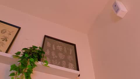 A B B Y online show from February 23, 12:02 pm