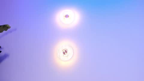 Abi online show from September 27, 2:05 am