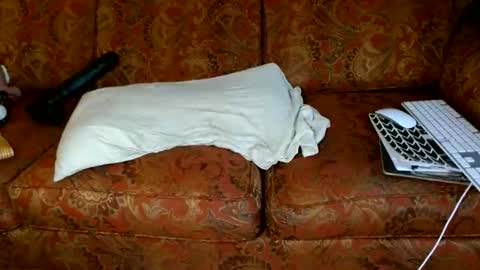 aCACiAs2022 online show from November 18, 7:07 pm