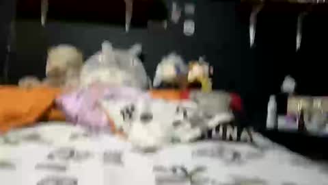 Snapshot of adam_and_abby_ chatting on February 28, 5:37 pm adam and abby online show from February 28, 5:37 pm