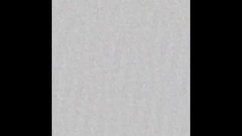 Victoria online show from February 12, 11:40 am