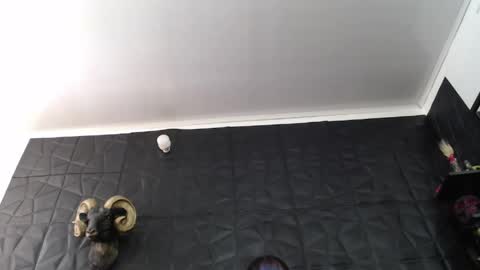  Miss Agata  online show from June 4, 3:40 pm