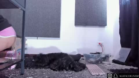 Agata Collinss online show from April 14, 5:08 pm