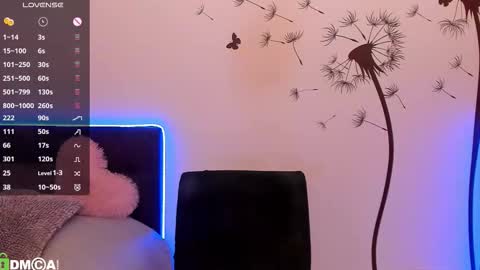 Polly online show from November 26, 3:35 pm