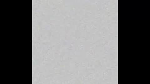 Polly online show from January 7, 6:43 pm