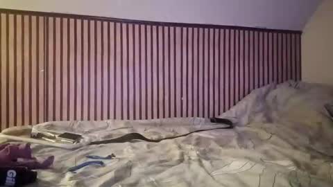 ajnojdek online show from March 22, 10:35 pm