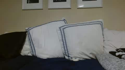 Alanna Rack online show from November 20, 3:01 pm